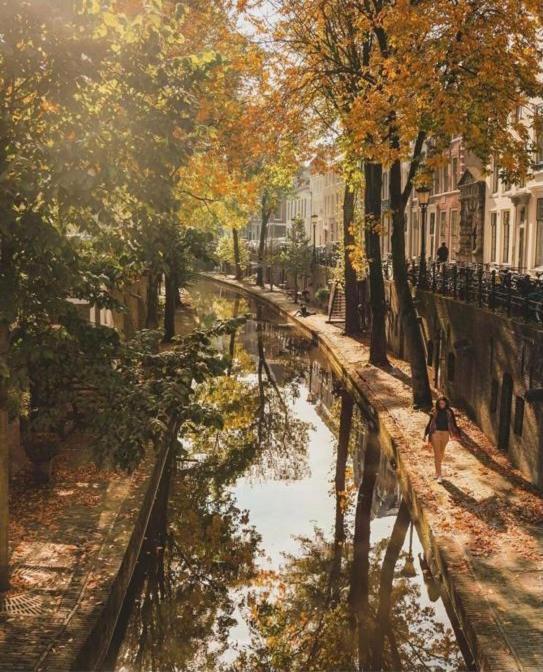 Ferienwohnung Vlinder'S Utrecht Exterior foto